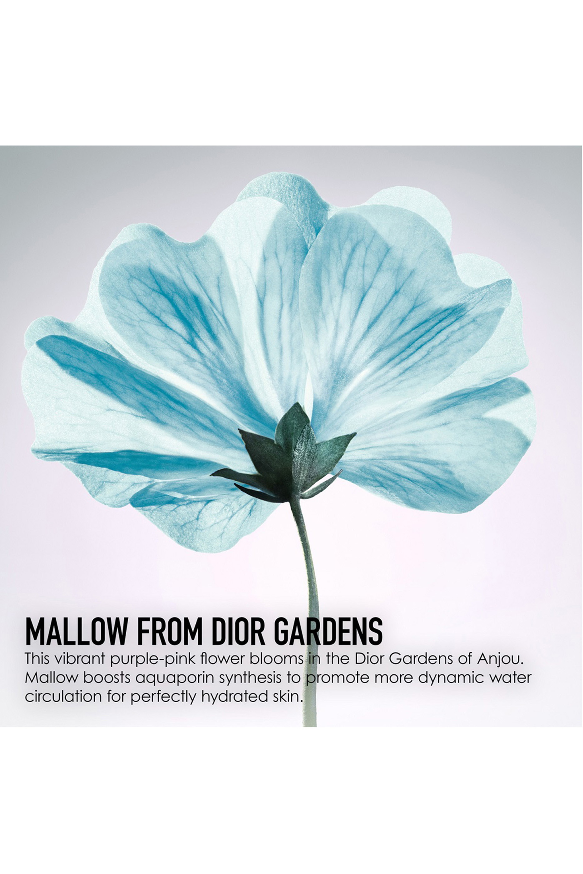 Dior Hydra Life Fresh Reviver Sorbet Water Mist