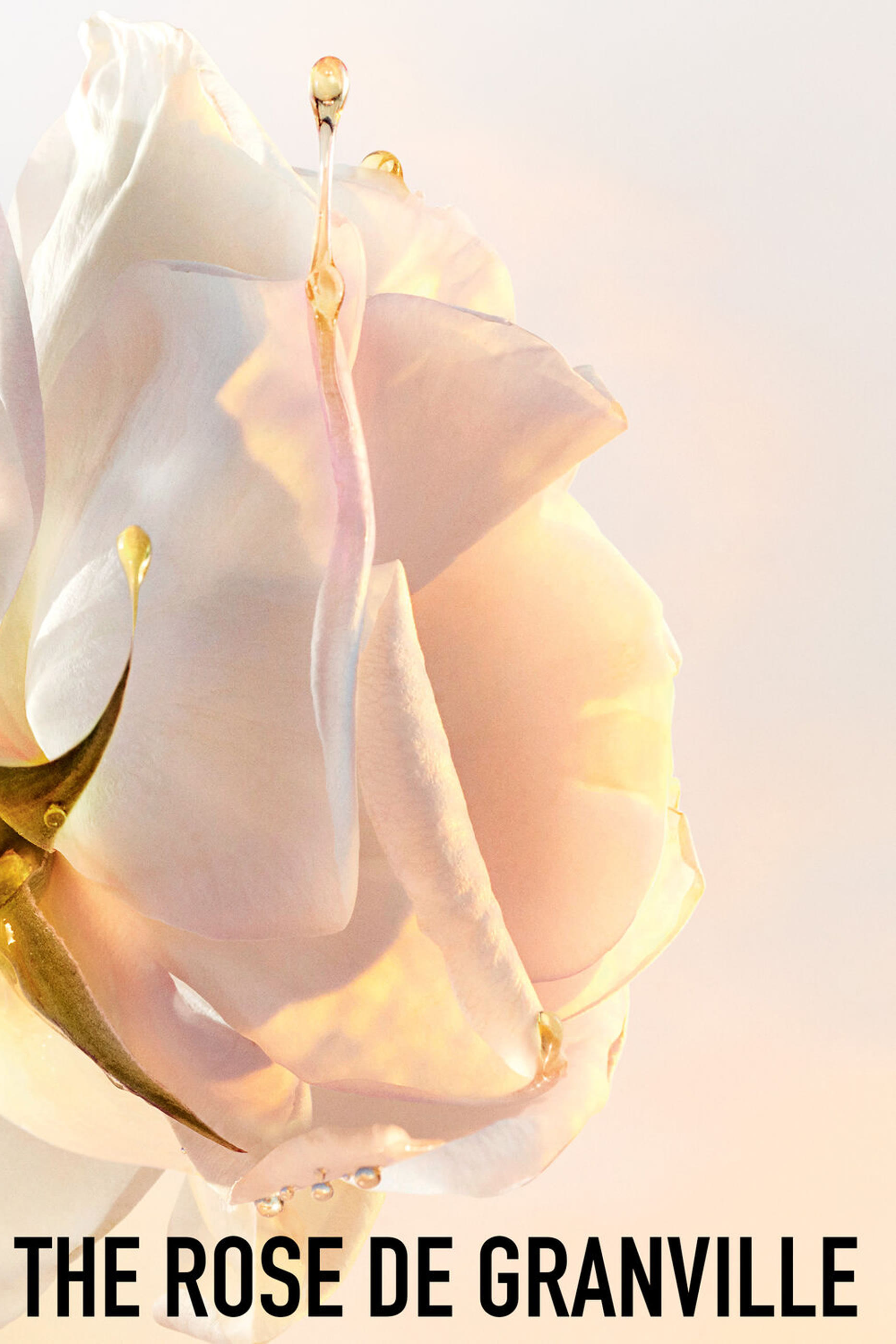 Dior Prestige La Mousse Micellaire