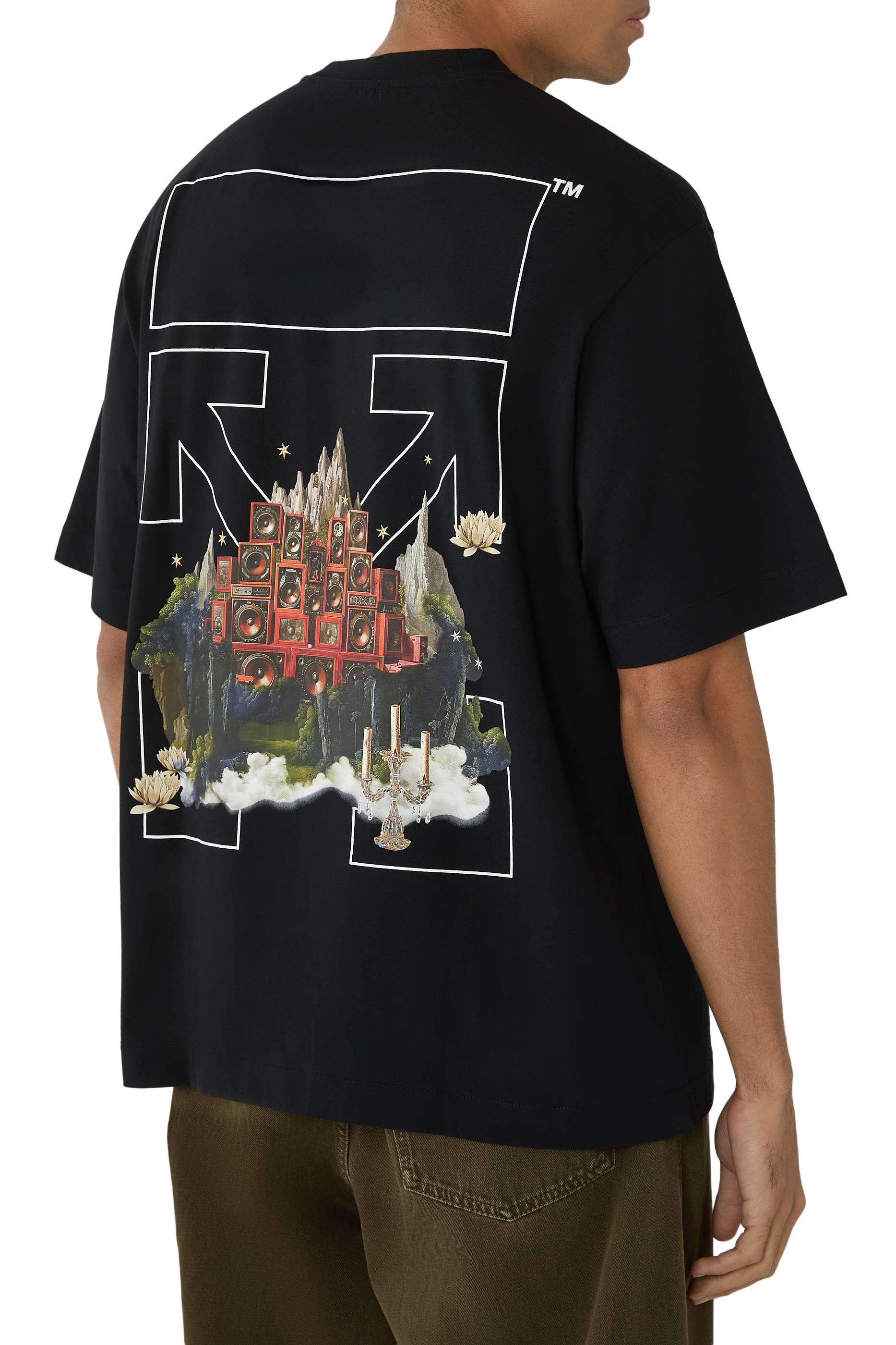  Landscape Arrow Skate Short Sleeve T-Shirt