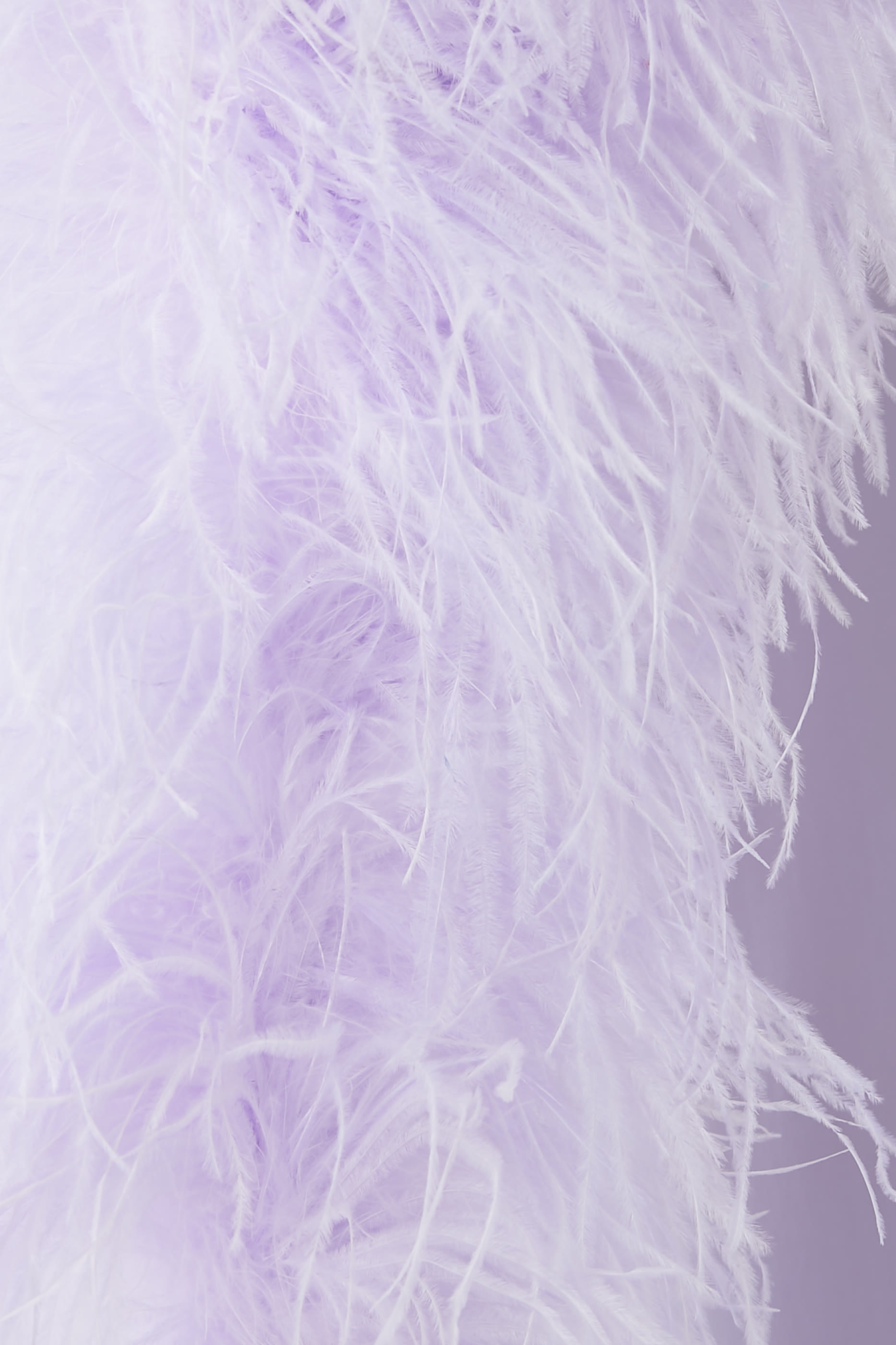 Ubud Feather-Trim Gown