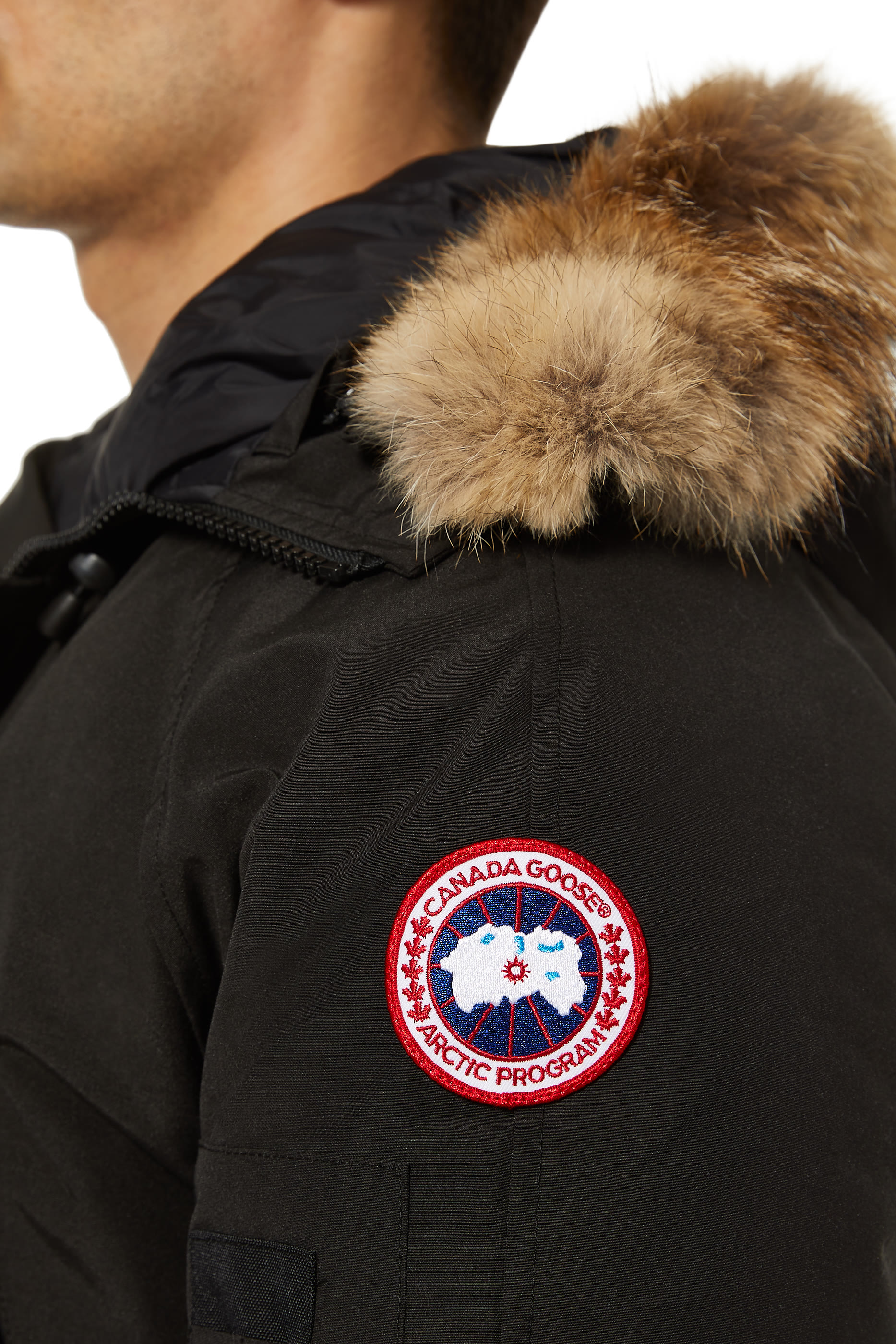 Chilliwack Down Bomber