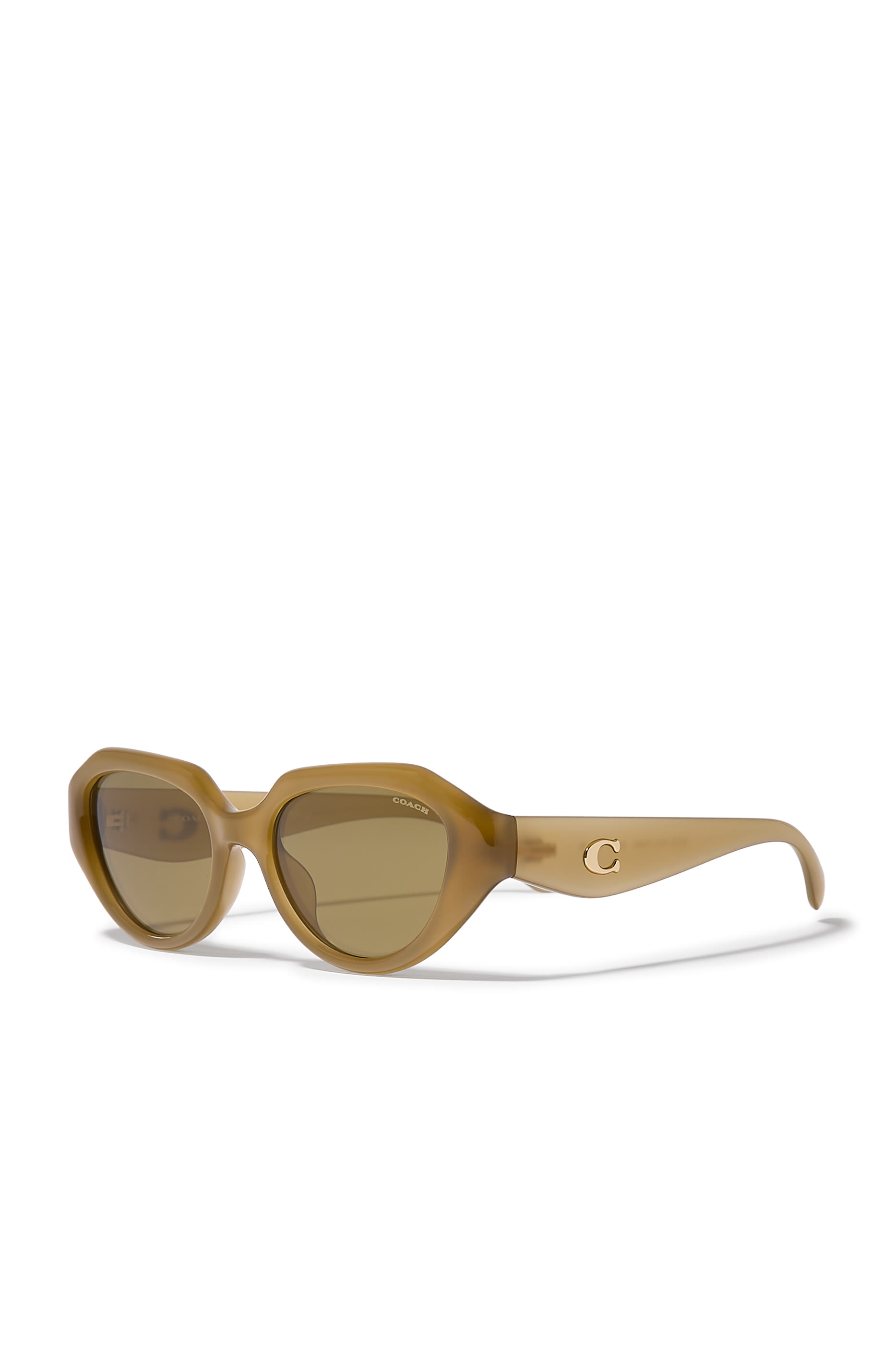 Irreg Frame Sculpted C Logo Temple Sunglasses