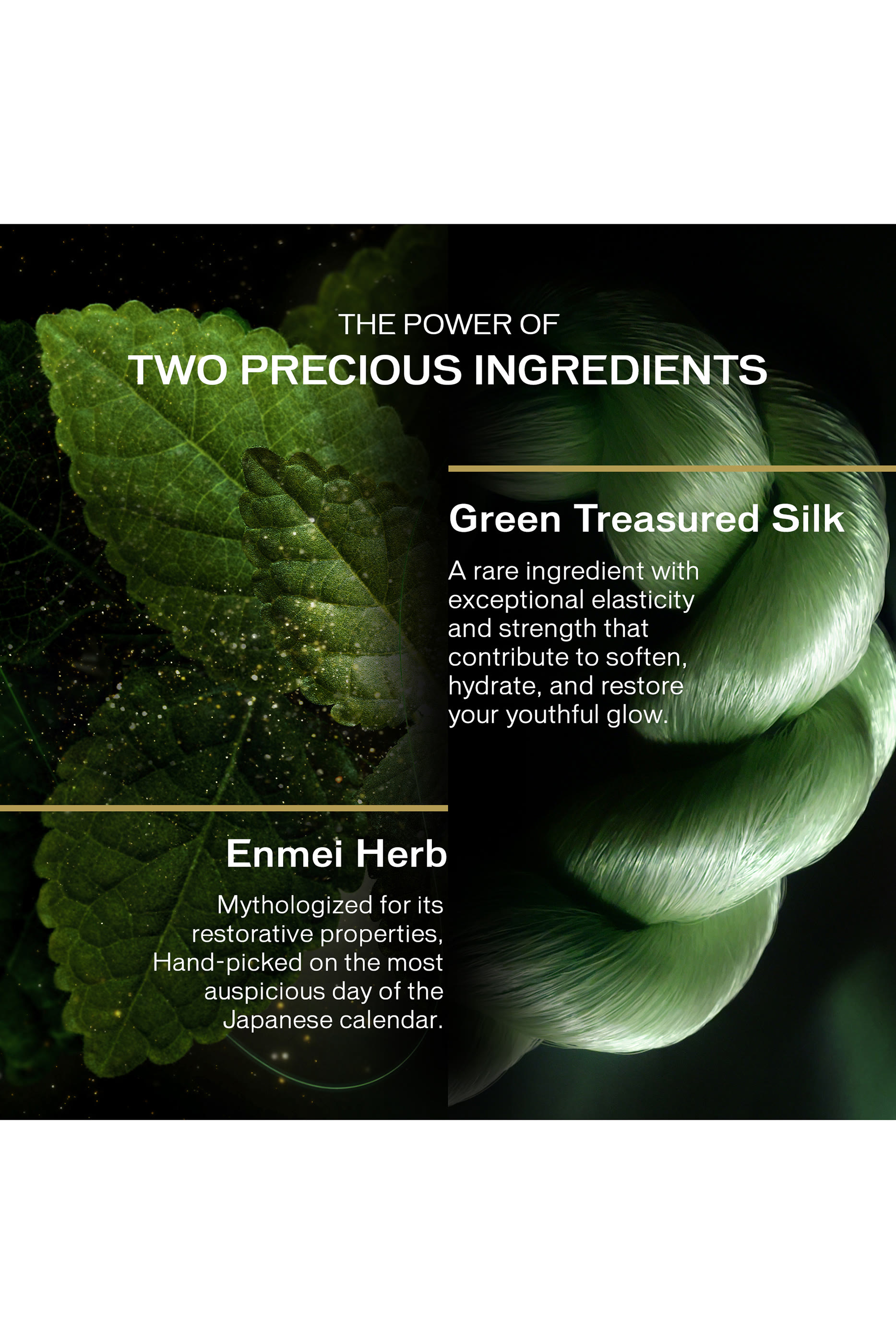 Future Solution LX Legendary Enmei Ultimate Luminance Serum