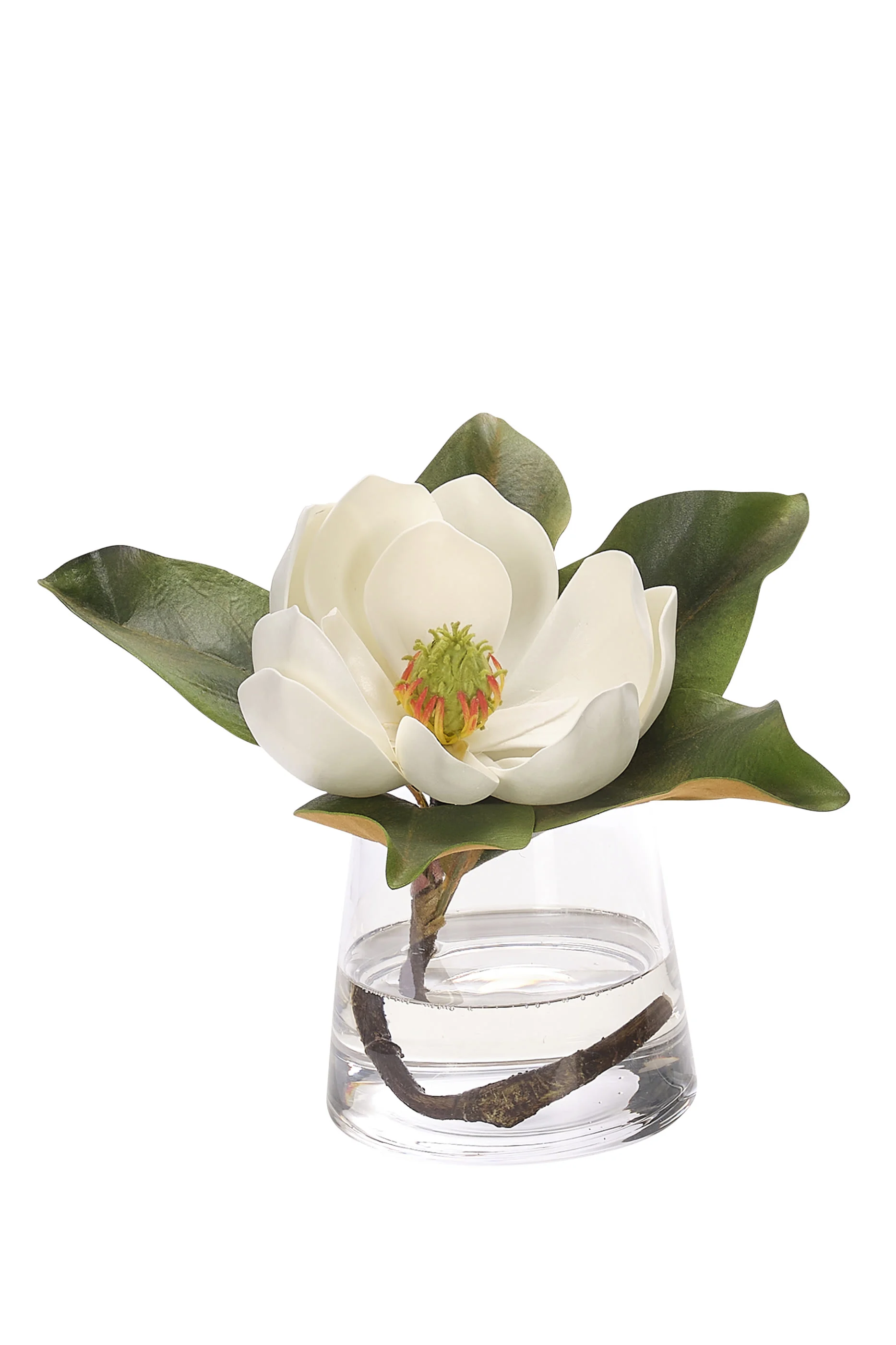 Magnolia - Faux Watergarden