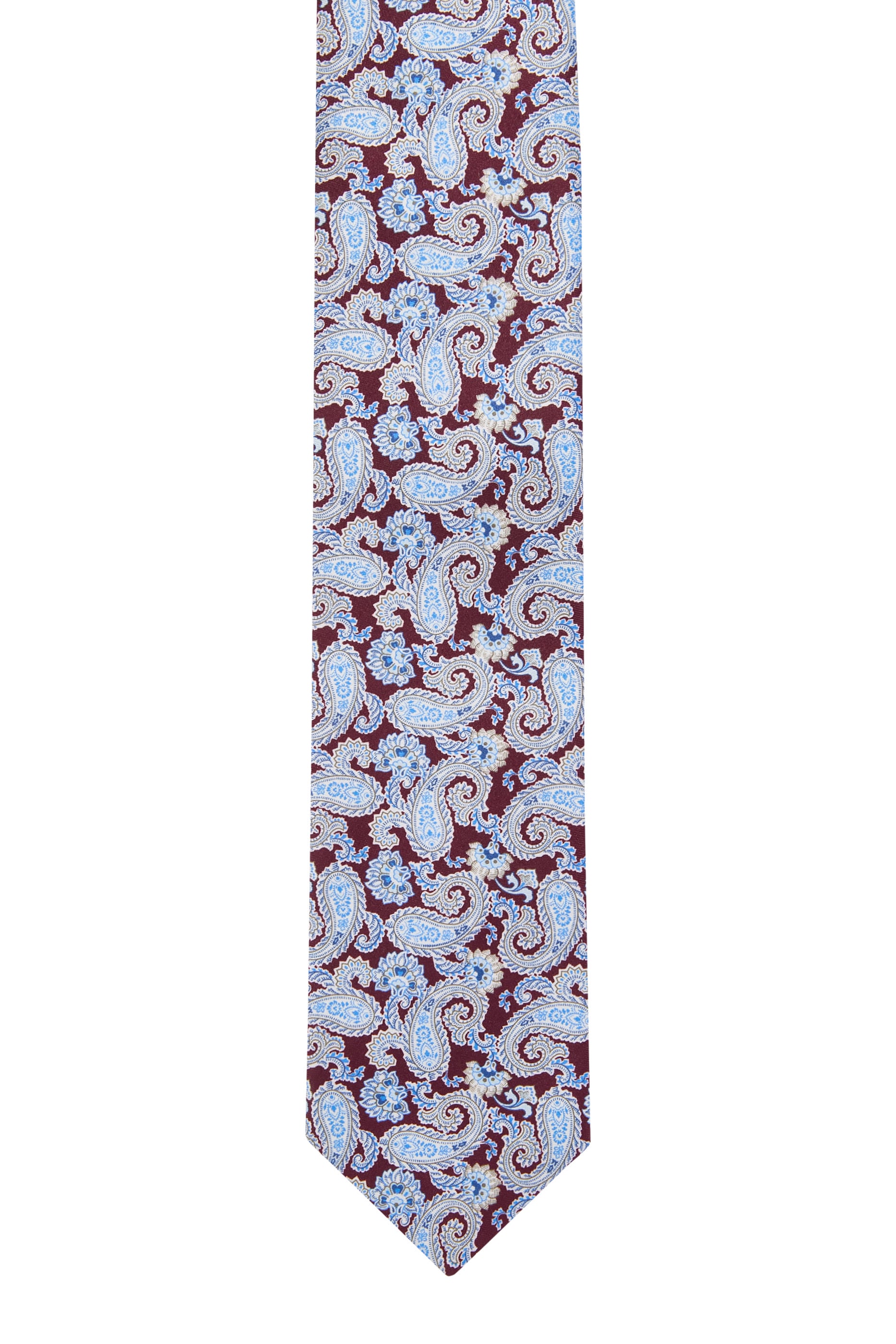 Paisley Silk Tie 