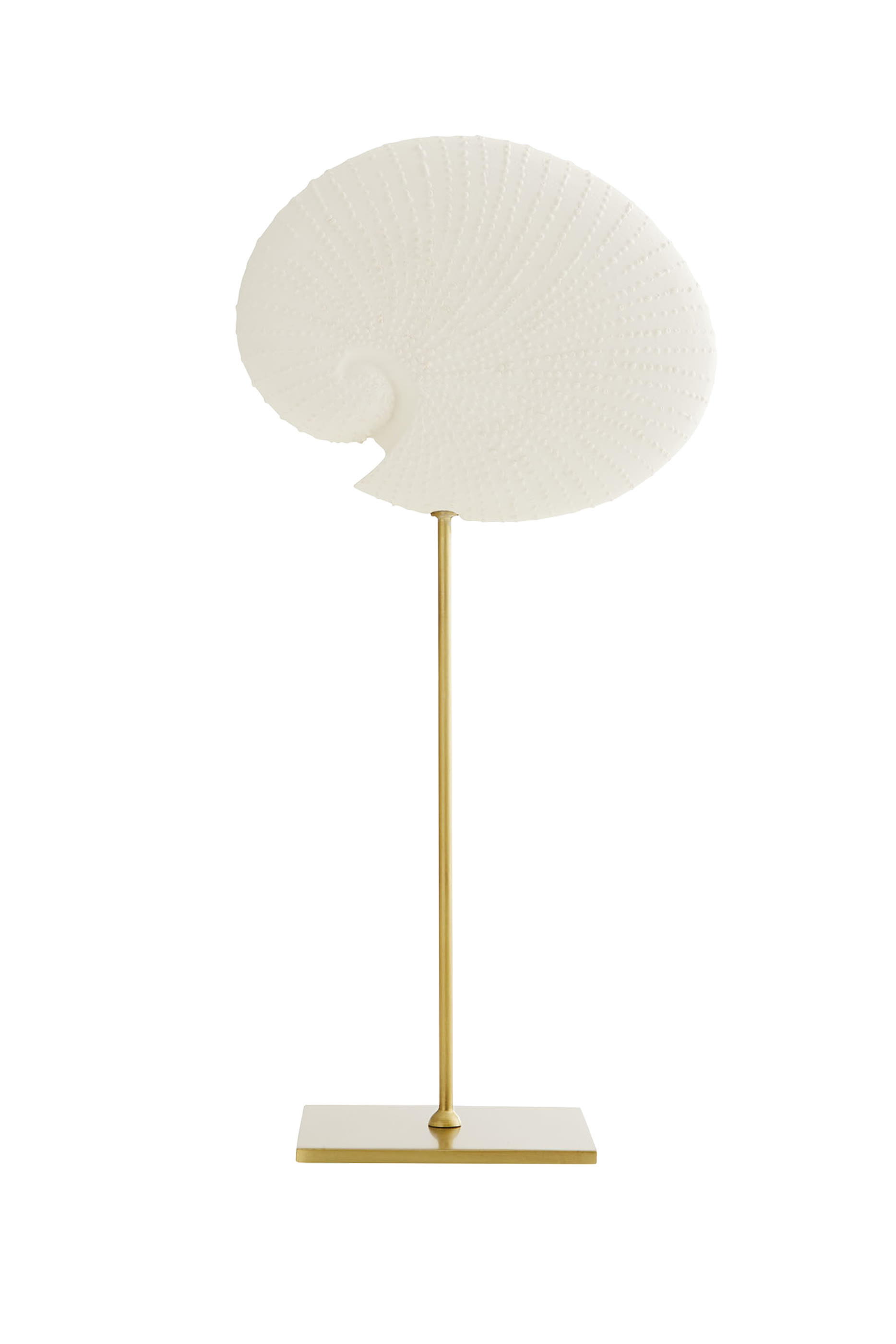 Shell Sculptures, Set of 3