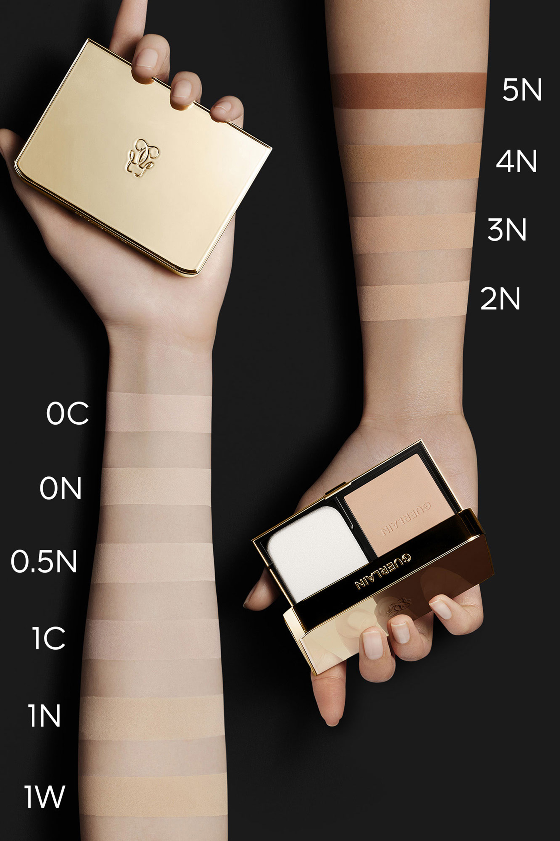 Parure Gold Skin Control Compact Powder