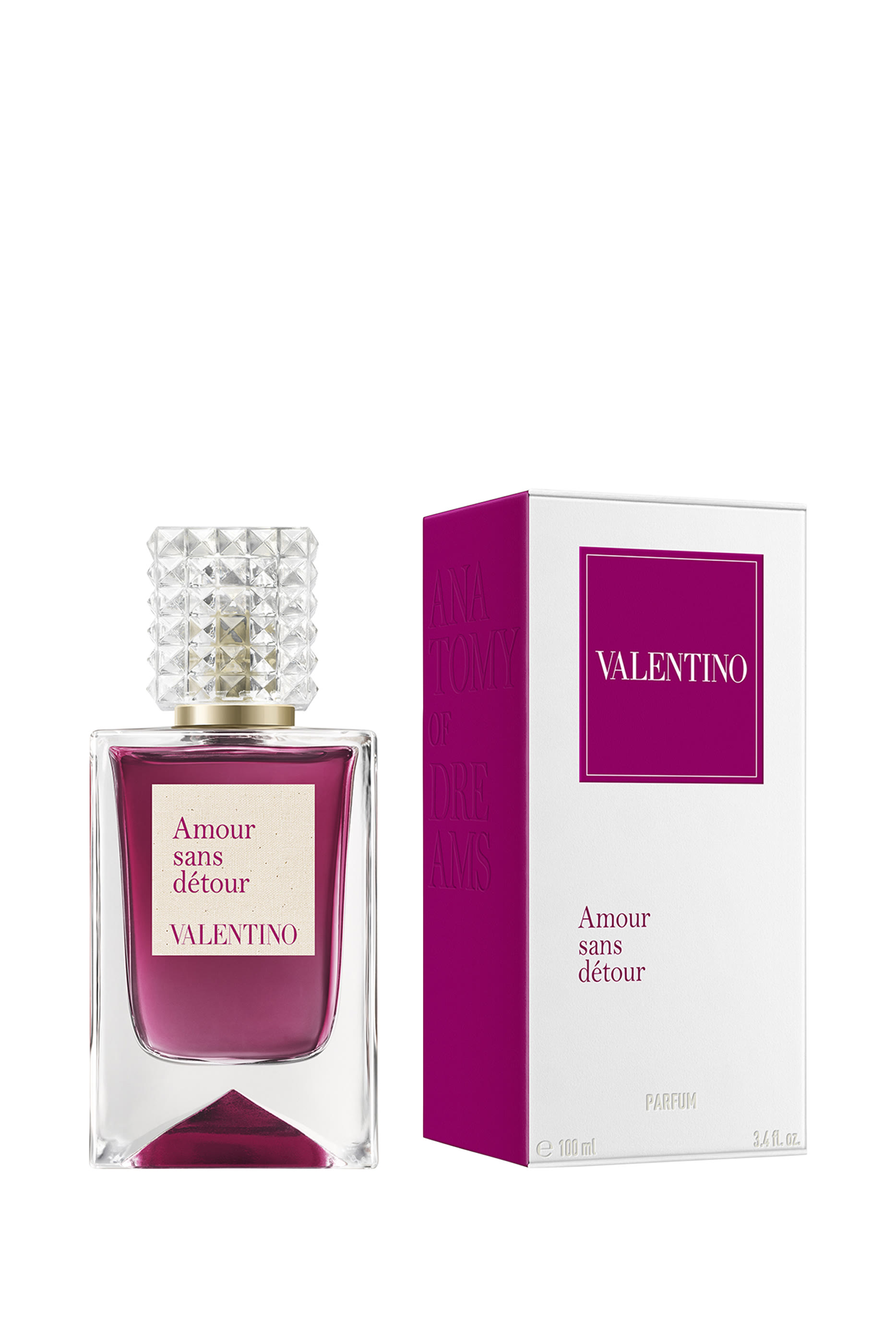 Anatomy of Dreams – Amour Sans Détour 