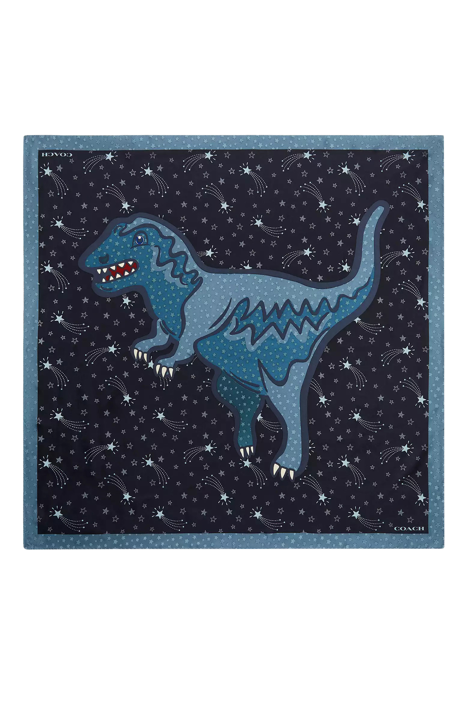 Shooting Star Rexy Silk Square Scarf