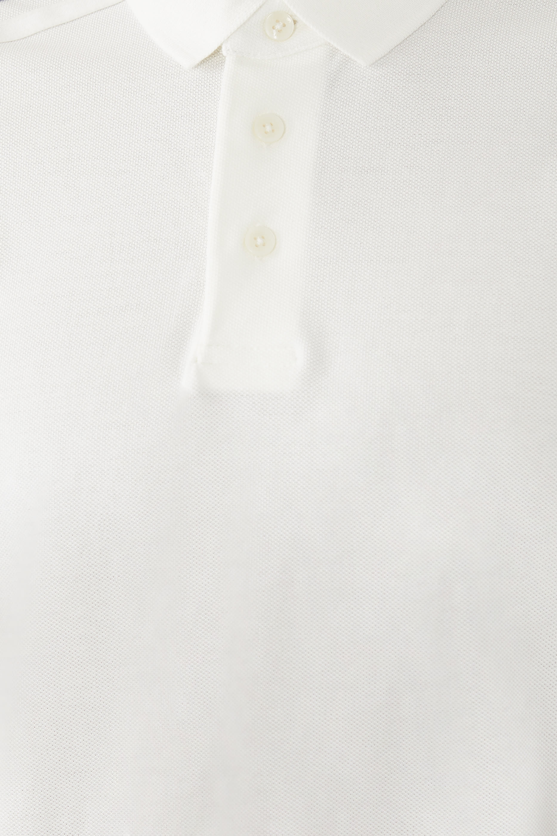 Regular Fit Polo Shirt